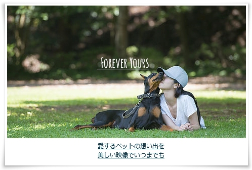 Forever yours erX^btw̎ɂAybg̑zof𐧍삢܂B